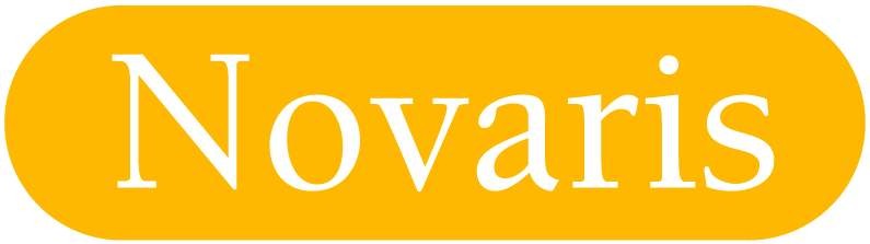 Lightning surge protection system